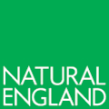 NatEng_logo_New-Green.png